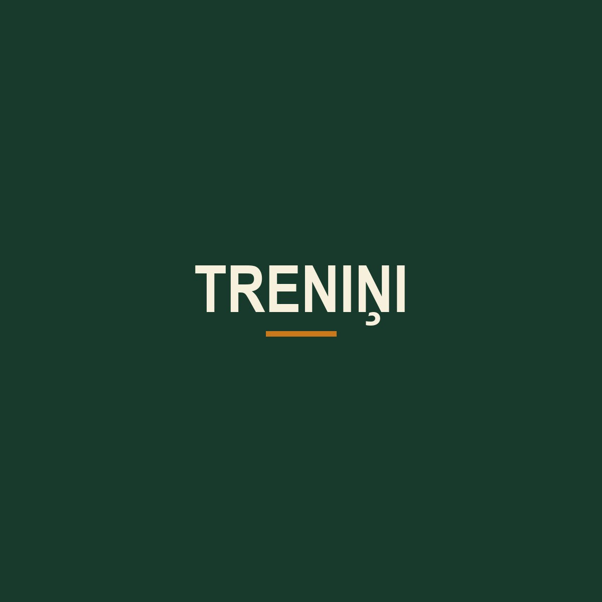 Treniņi